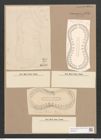 Surirella formosa Cleve (de-Toni-Nr.: Genus 53, Species 2285) Zeichnungen Sammlung Grunow Nr. 4737 (NHMW-BOT-W0372842)